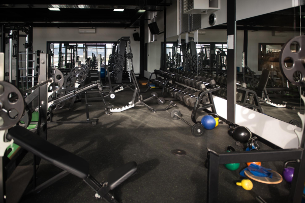 GymCraft Solutions